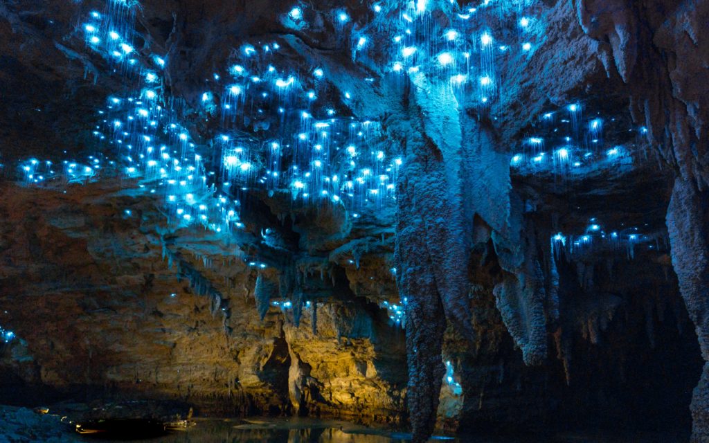 Amazing Destinations: The Glowworm Caves of Waitomo